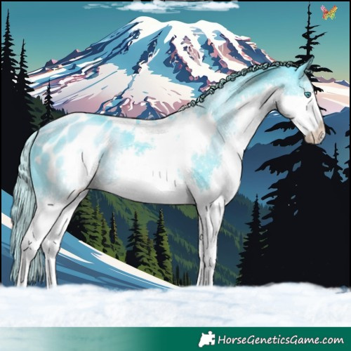 Horse Color:Watercolor Black Splash Tobiano Blanket 