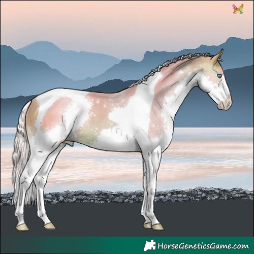 Horse Color:Watercolor Silver Brown Splash Tobiano