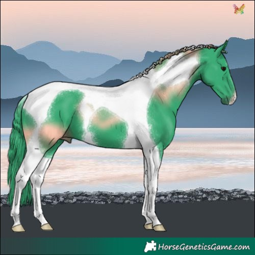 Horse Color:Watercolor Black Tobiano 