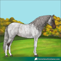 Horse Color:Silver Brown Roan Tobiano 