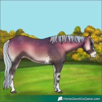 Horse Color:Painted Silver Brown Onyx Sabino Varnish 
