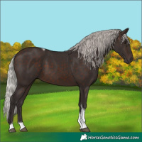 Horse Color:Silver Brown Tobiano 