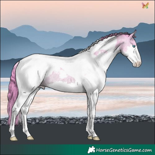 Horse Color:Watercolor Brown Roan Splash Tobiano Snowcap
