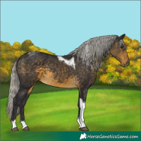 Horse Color:Silver Buckskin Tobiano 