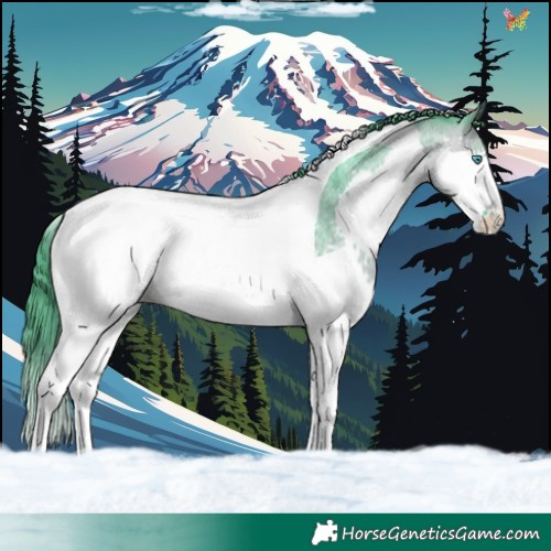 Horse Color:Watercolor Brown Roan Splash Tobiano Appaloosa 