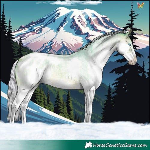 Horse Color:Watercolor Silver Bay Roan Splash Appaloosa