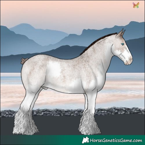 Horse Color:Brown Roan Dun Splash Varnish