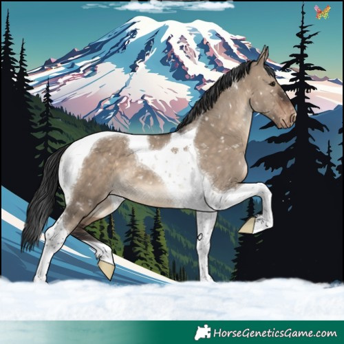 Horse Color:Brown Dun Tobiano Snowflake Varnish