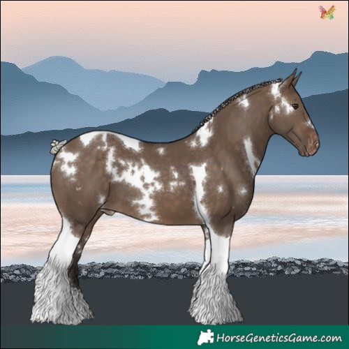 Horse Color:White Spotted Silver Brown Dun Tobiano Varnish 