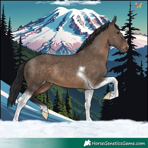 Horse Color:Brown Dun Tobiano Varnish 