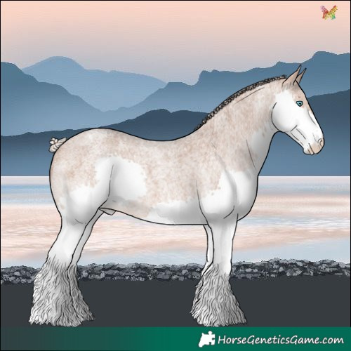 Horse Color:Silver Brown Roan Dun Splash Varnish