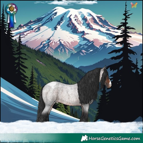 Horse Color:Brown Roan Appaloosa Rabicano 