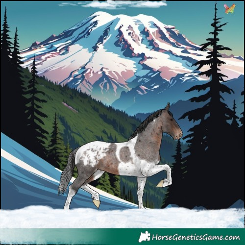 Horse Color:Brown Roan Tobiano Blanket