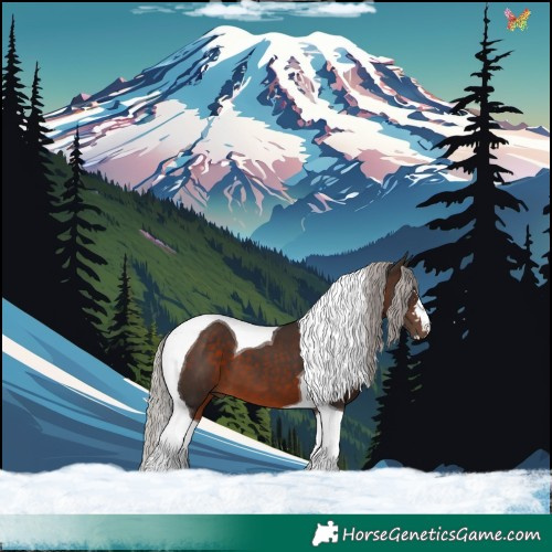 Horse Color:Silver Brown Tobiano
