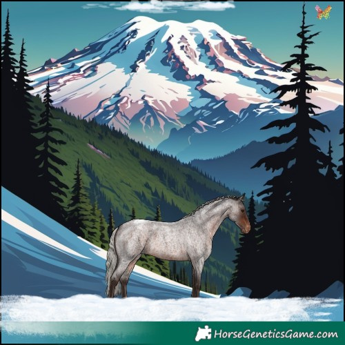 Horse Color:Silver Brown Roan Appaloosa