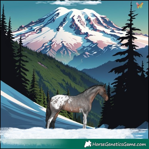 Horse Color:Brown Roan Tobiano Blanket 