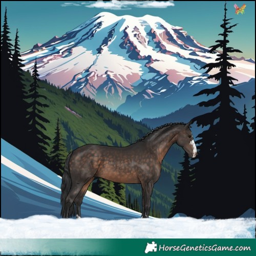 Horse Color:Brown 