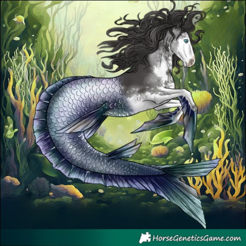 Horse Color:White Spotted Black Splash