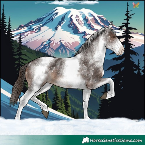 Horse Color:White Spotted Liver Chestnut 