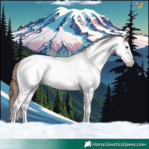 Horse Color:White Spotted Chestnut Tobiano