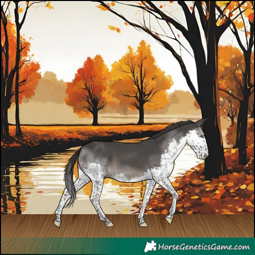 Horse Color:Black Splash