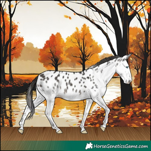 Horse Color:Black Sabino Splash Appaloosa
