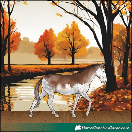 Horse Color:Liver Chestnut Splash 