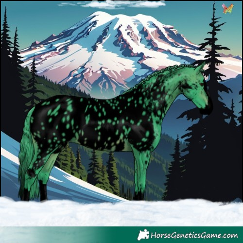 Horse Color:Void Watercolor Brown Splash Appaloosa