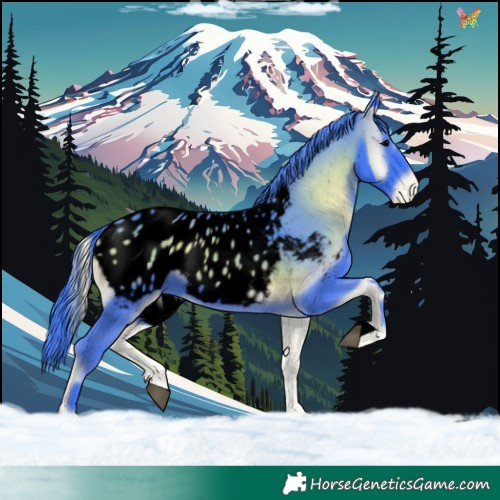 Horse Color:Void Watercolor Blue Onyx Appaloosa