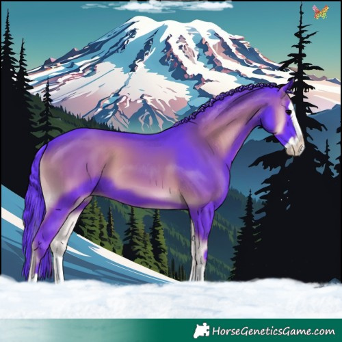 Horse Color:Watercolor Blue Onyx Splash