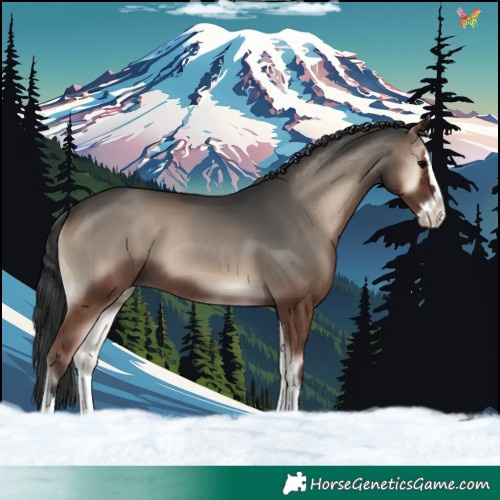 Horse Color:Blue Onyx Splash 