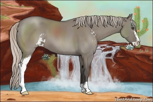 Horse Color:Silver Grullo Sabino 