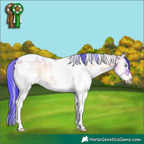 Horse Color:Watercolor Liver Red Dun Onyx Sabino Splash Tobiano 