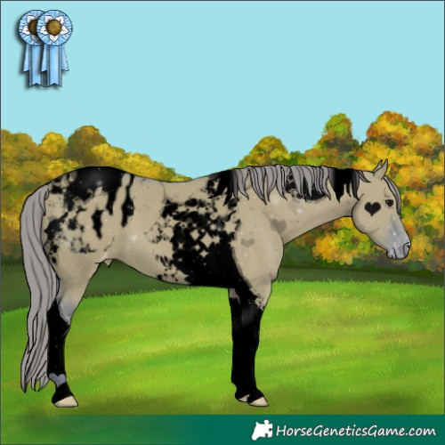 Horse Color:Void Watercolor Grullo Tobiano Varnish