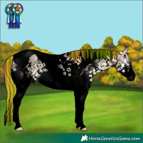 Horse Color:Void Painted Red Dun Onyx Sabino Splash Tobiano 
