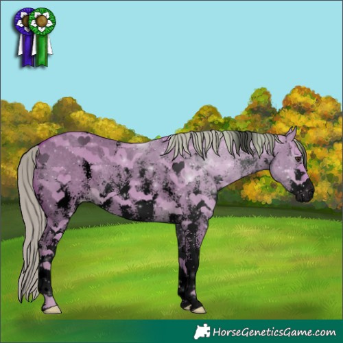 Horse Color:Void Watercolor Liver Red Dun Sabino