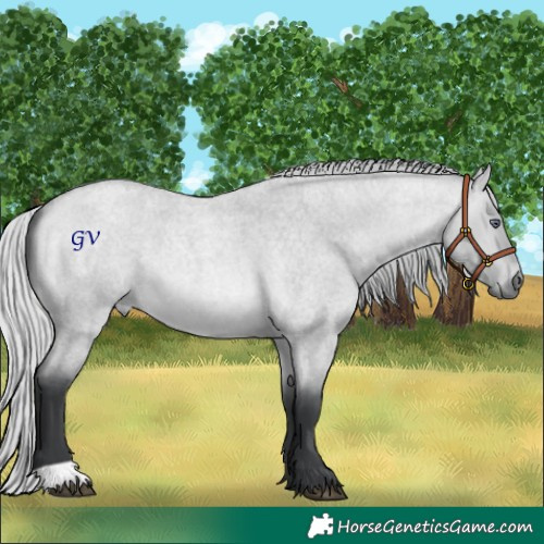 Horse Color:Silver Bay Chinchilla Roan Dun