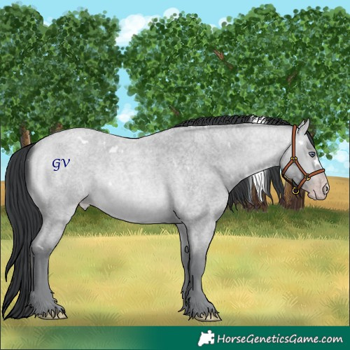 Horse Color:White Spotted Amber Champagne Chinchilla Roan 