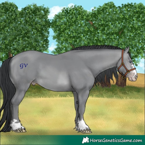 Horse Color:Sable Champagne Chinchilla 