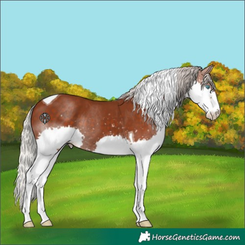 Horse Color:Silver Black Splash Tobiano 