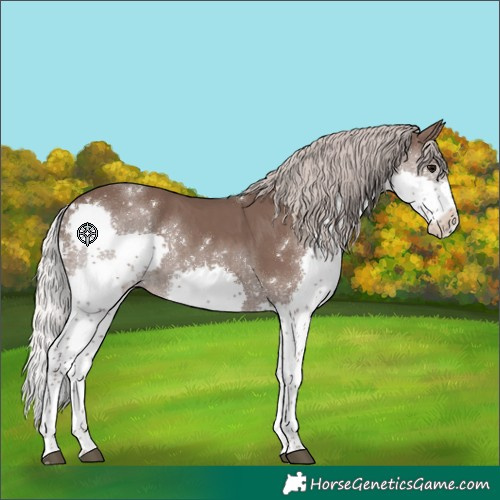 Horse Color:Silver Black Sabino Splash Tobiano 