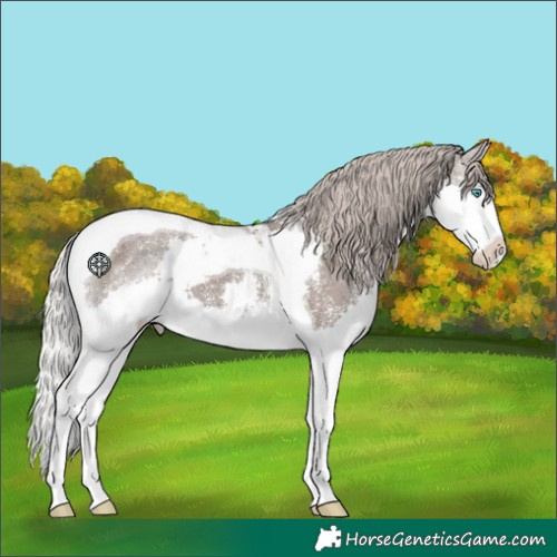 Horse Color:Silver Black Sabino Splash Tobiano 