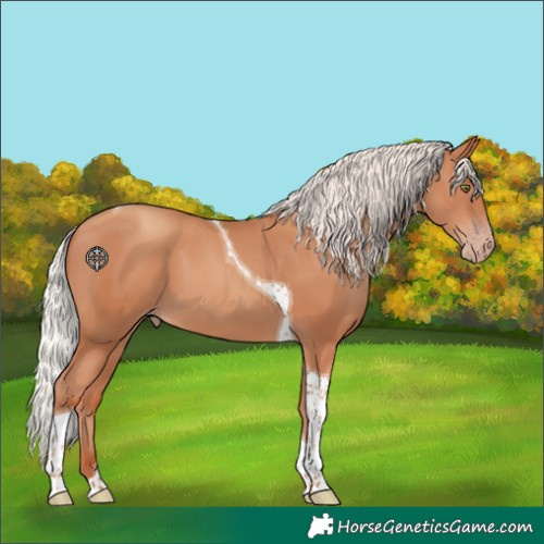 Horse Color:Silver Classic Champagne Tobiano