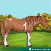 Horse Color:Chestnut Tobiano Varnish 