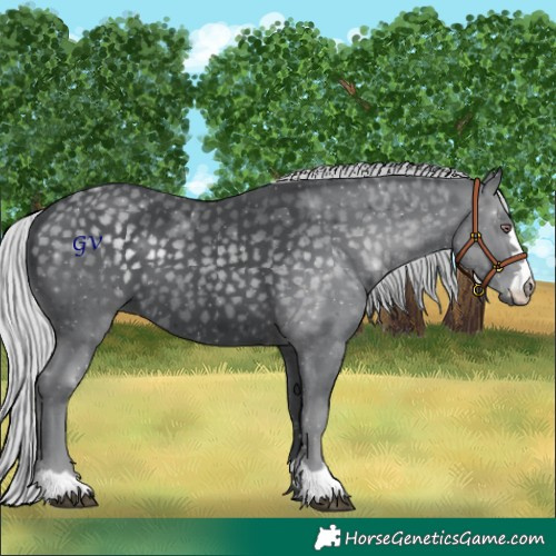 Horse Color:Silver Black Chinchilla 