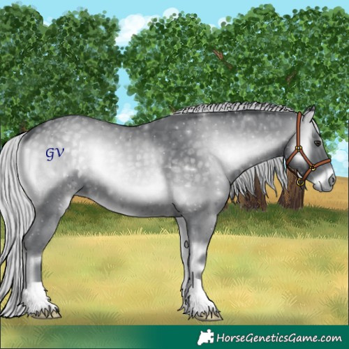 Horse Color:Silver Blue Onyx Chinchilla