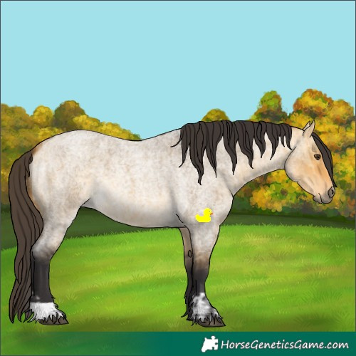 Horse Color:Buckskin Roan Dun  and Buckskin Roan Dun 