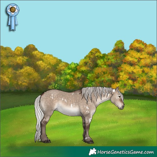 Horse Color:White Spotted Silver Brown Dun Mushroom Rabicano