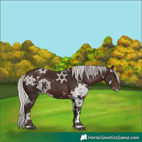 Horse Color:White Spotted Silver Brown Ice 