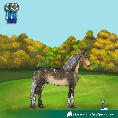 Horse Color:White Spotted Silver Buckskin Mushroom Tobiano Rabicano 